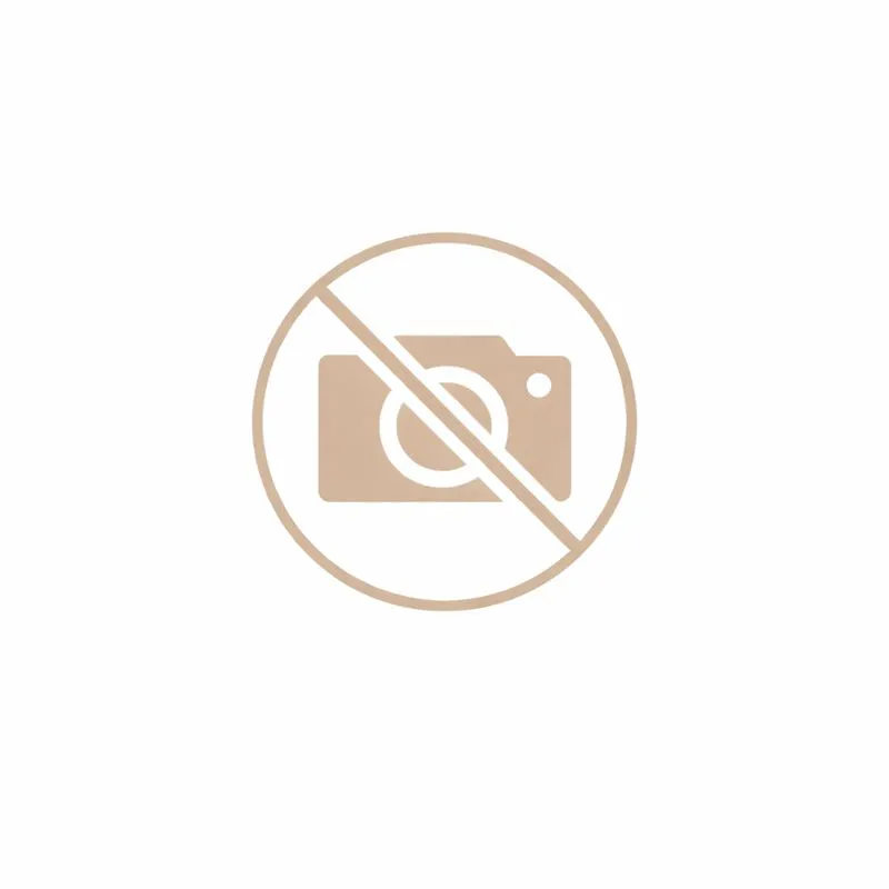 Termostatas 98 ºC „Ascaso“ i..339 Termostatas 98 ºC „Ascaso“ i..339