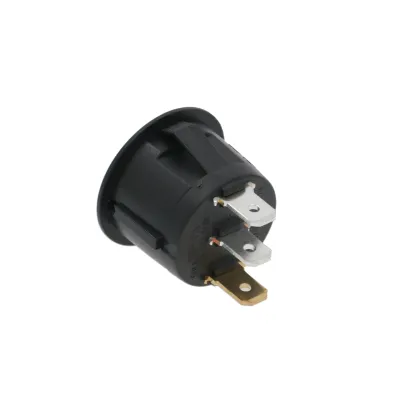 Single pole switch 10A 250V