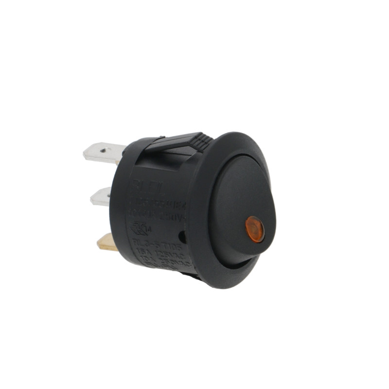 Single pole switch 10A 250V